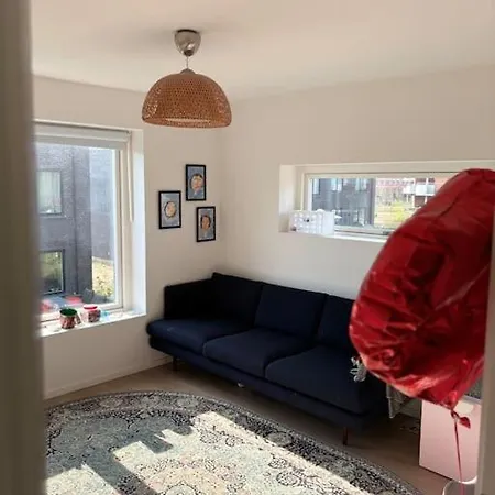 New House From 2023 * 로스킬레